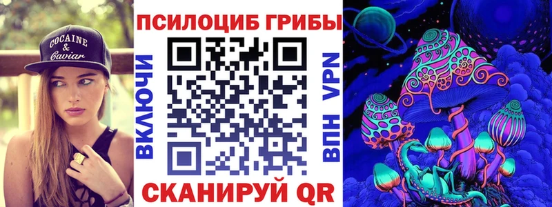 mega зеркало  Кингисепп  Галлюциногенные грибы MAGIC MUSHROOMS  закладки 